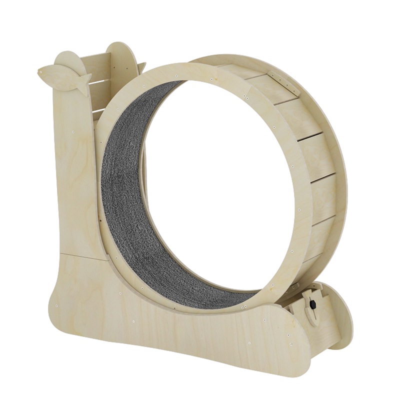 åȥۥ ǭ 롼ʡ Ɀư ǭ  롼ʡ ڥå 