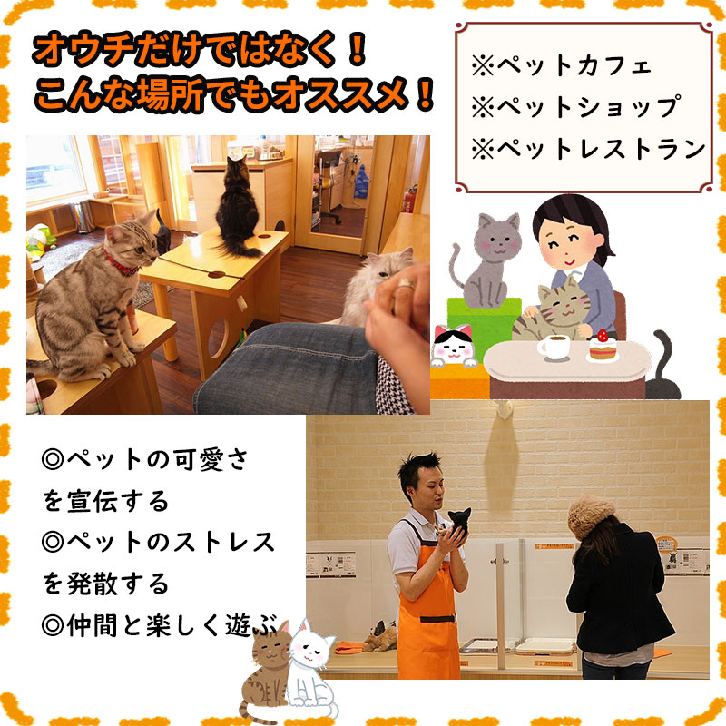 åȥۥ ǭ 롼ʡ ֥饦 Ɀư ǭ  롼ʡ ڥå 