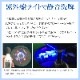 ��� ����ư����� 28�ߥ��ס�2�̡��������� �Ų� OM-B-WL