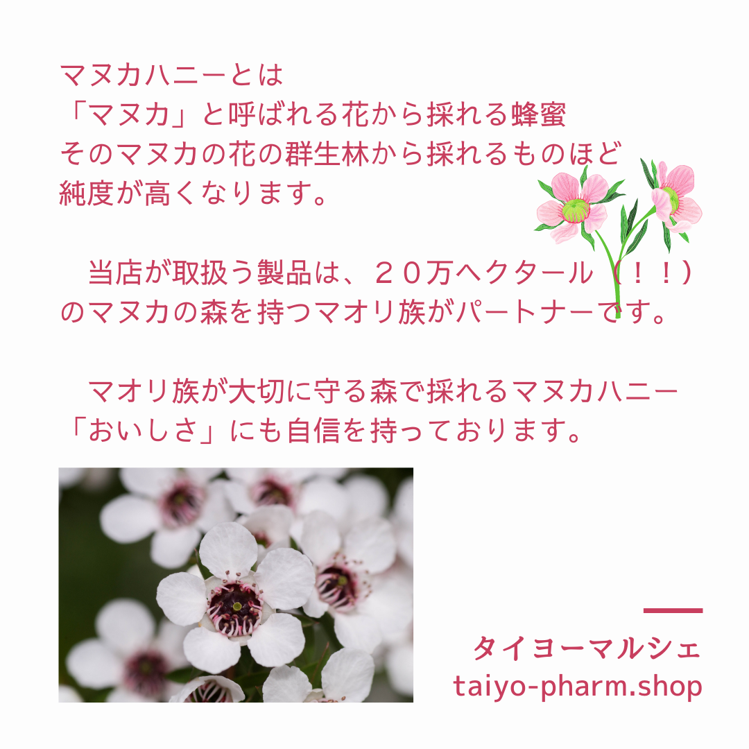 MIS�ޥ̥��ϥˡ�UMF10+ 250g