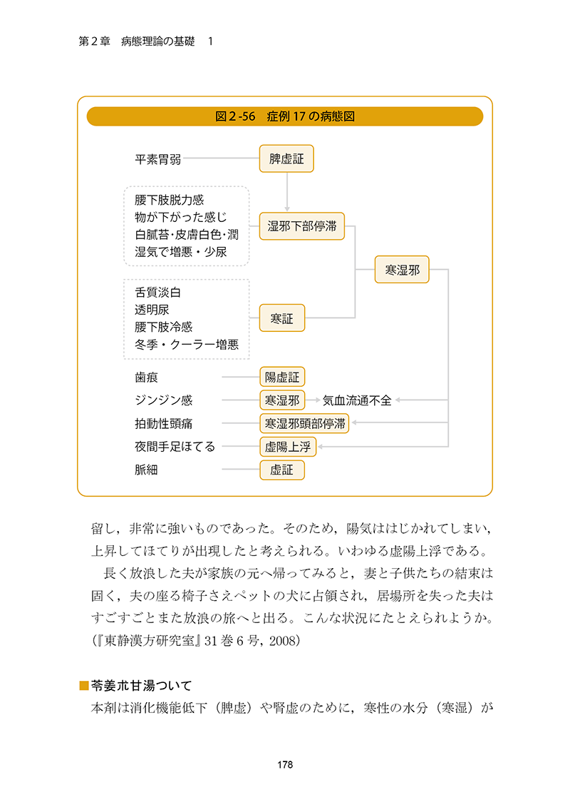 実践東洋医学 ［第２巻　生理・病態・治療理論篇］
