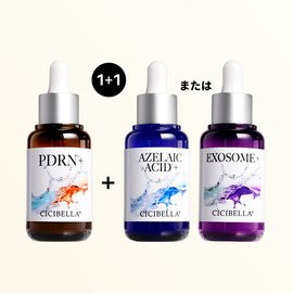 ��1+1���åȡۥ����٥� �ץ�ߥ���ӥ塼�ƥ�������� 