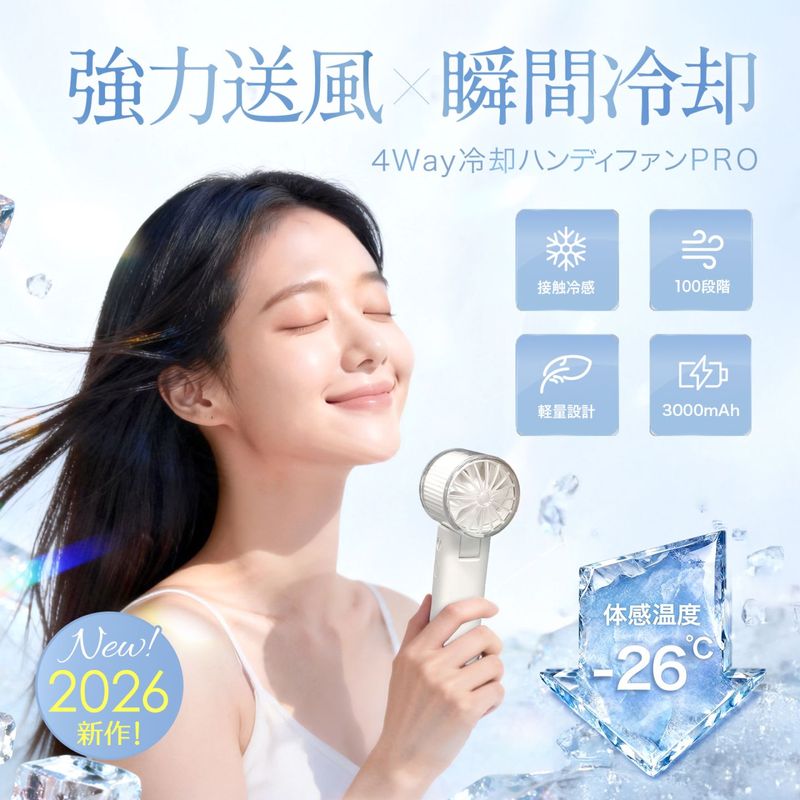 �ãɣãɣ̣ɣƣ� 4way�ϥ�ǥ��ե���PRO