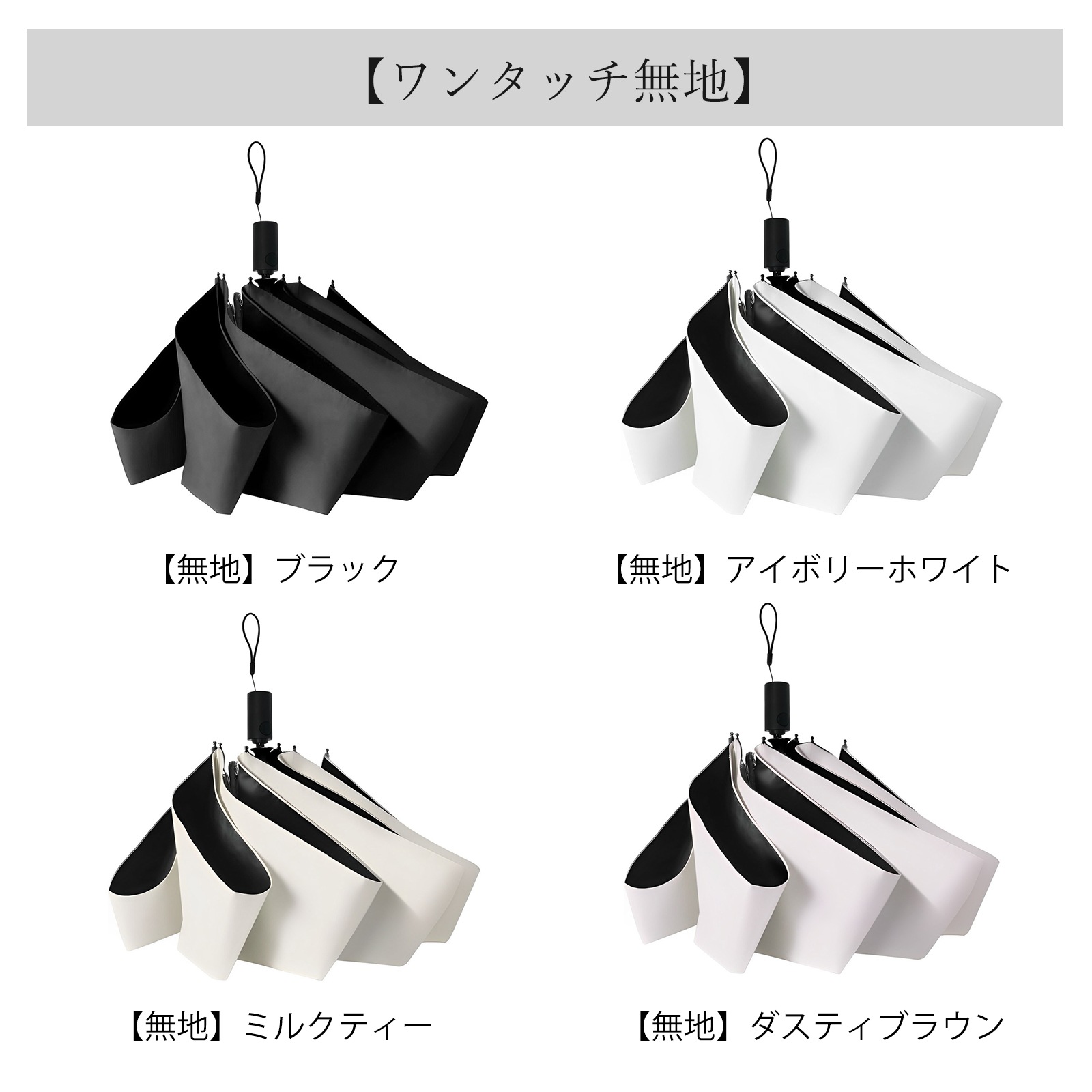 CICIBELLA  ޤꤿ ư 6ܹ ɽ