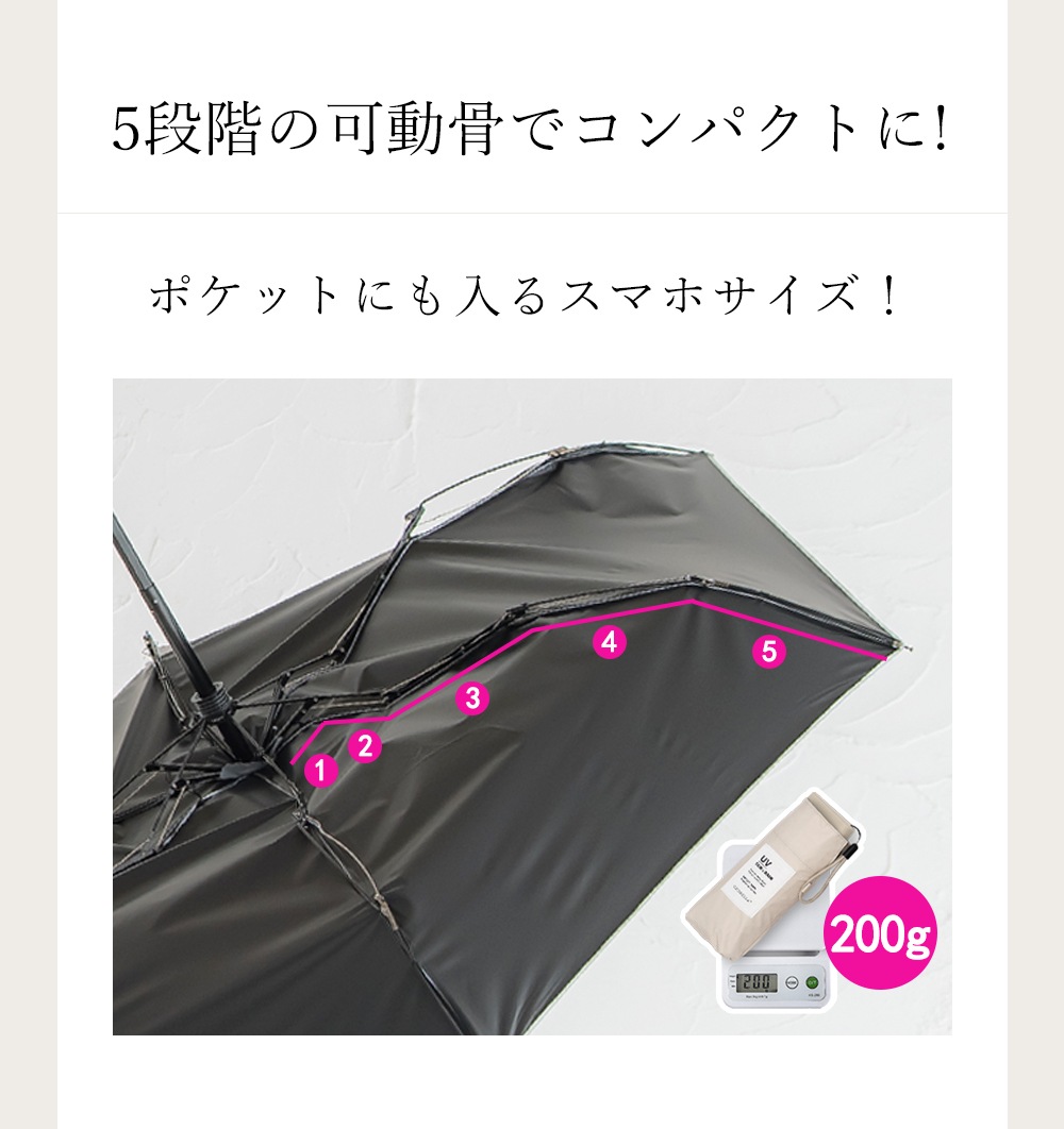 CICIBELLA �ݥ��å����� �ޤꤿ���� �������� 6�ܹ� ̵��