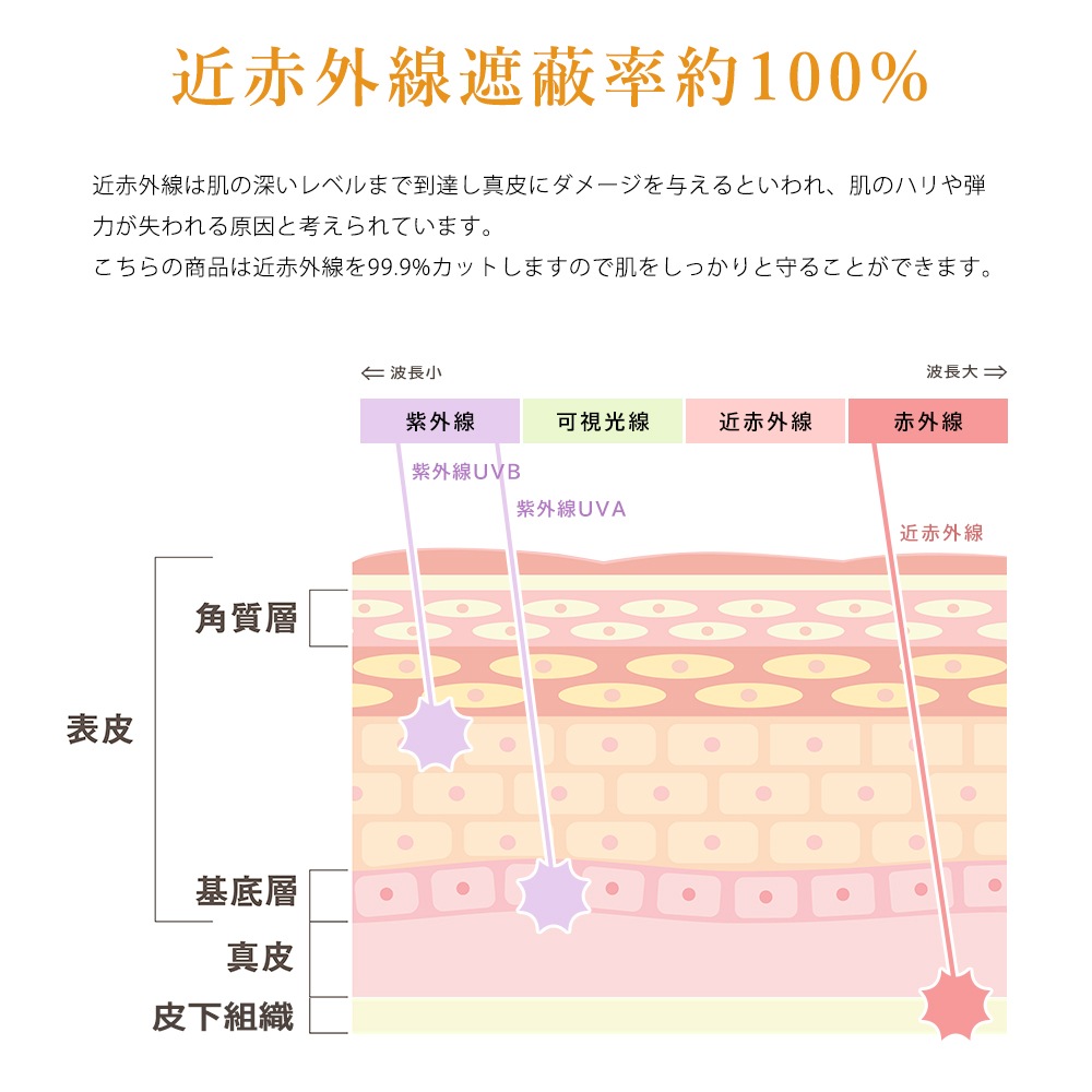 CICIBELLA �ݥ��å����� �ޤꤿ���� �������� 6�ܹ� ̵��