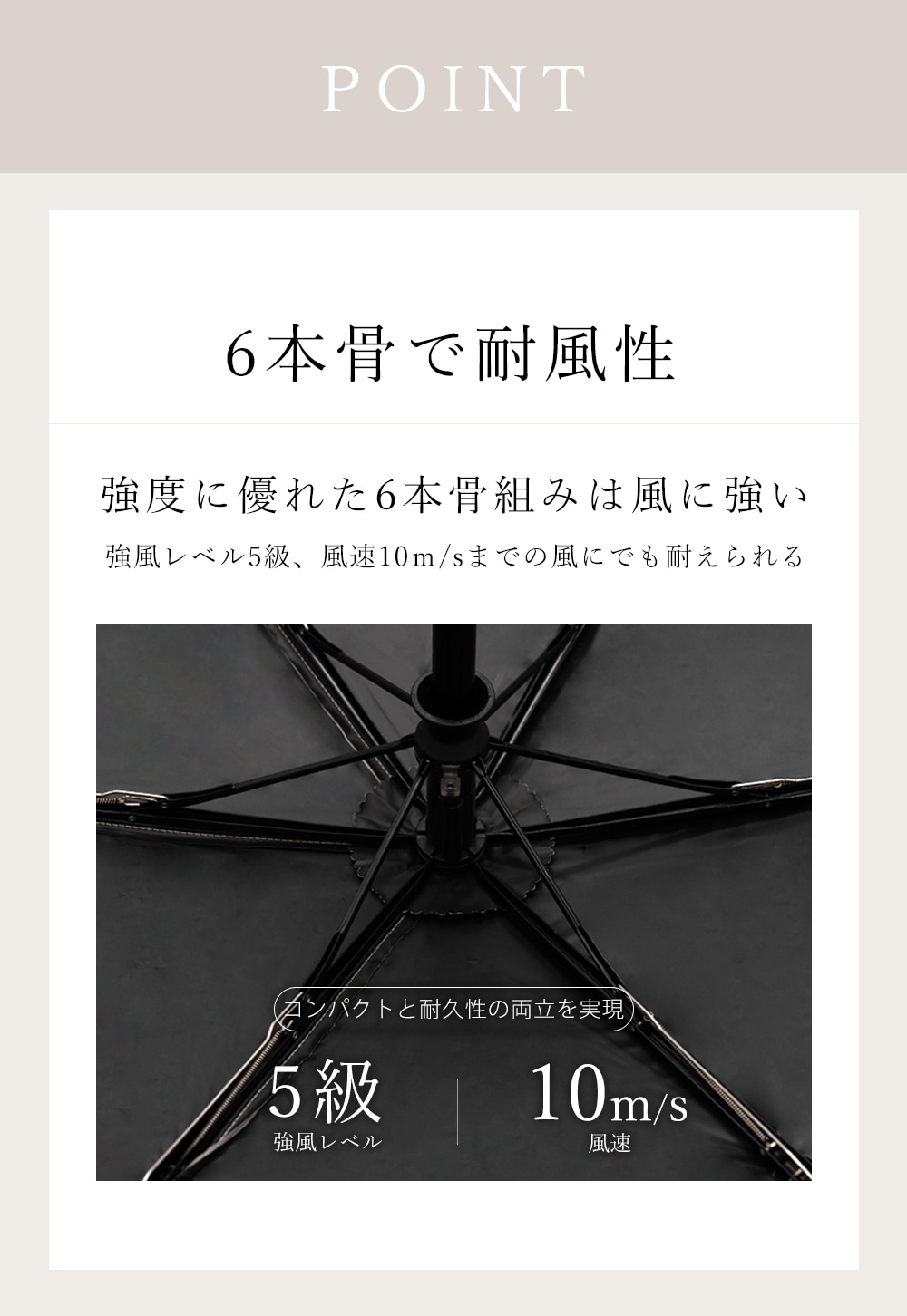 CICIBELLA �ݥ��å����� �ޤꤿ���� �������� 6�ܹ� ̵��