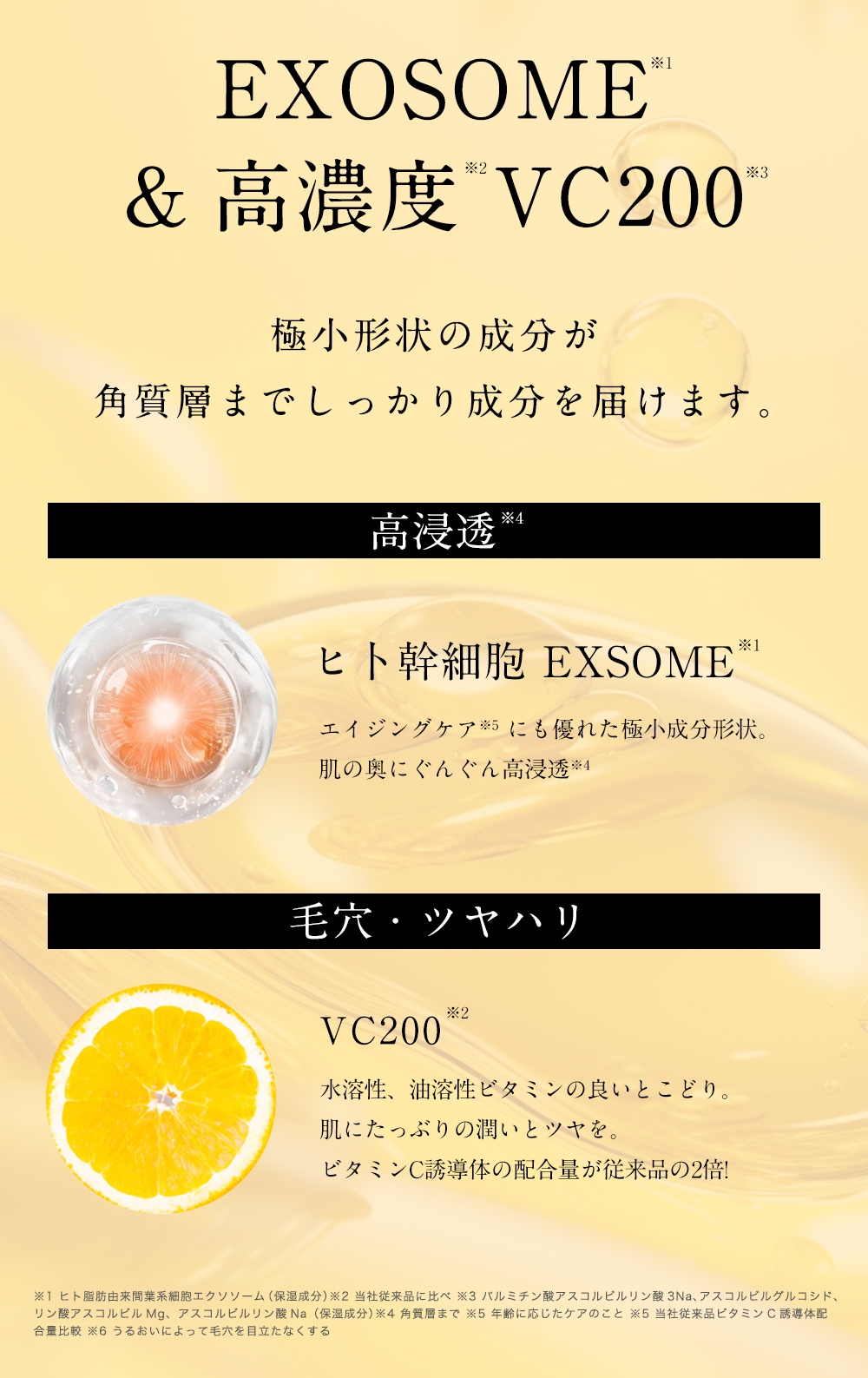 [120�祻�å�]2024�����꡼�� ��ǻ�� ����˦ VC200 �����ȥޥ��� 30���4 �Ƽ�1��