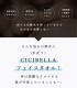[360�祻�å�]�ե����������� 60���6�� ����󥸥󥰥�����