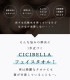 [900�祻�å�]�ե����������� 60���15�� ����󥸥󥰥�����