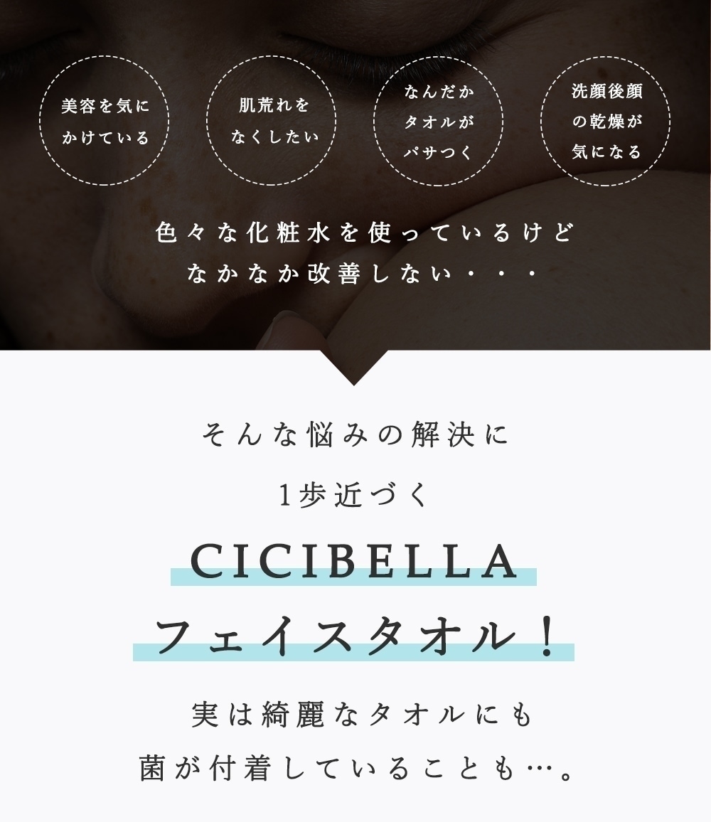 [1440�祻�å�]�ե����������� 60���24�� ����󥸥󥰥�����