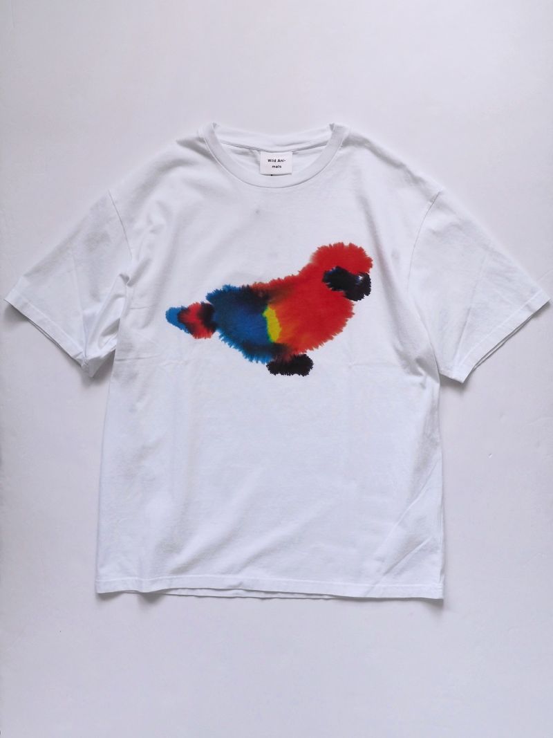 CIENTO WEB STORE