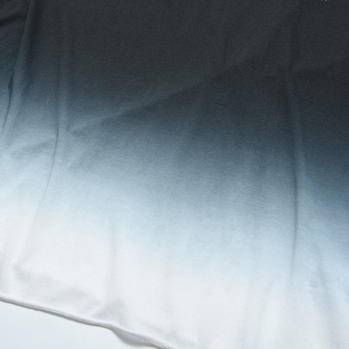 charbon / DIP DYE SHEER SLEEVELESS