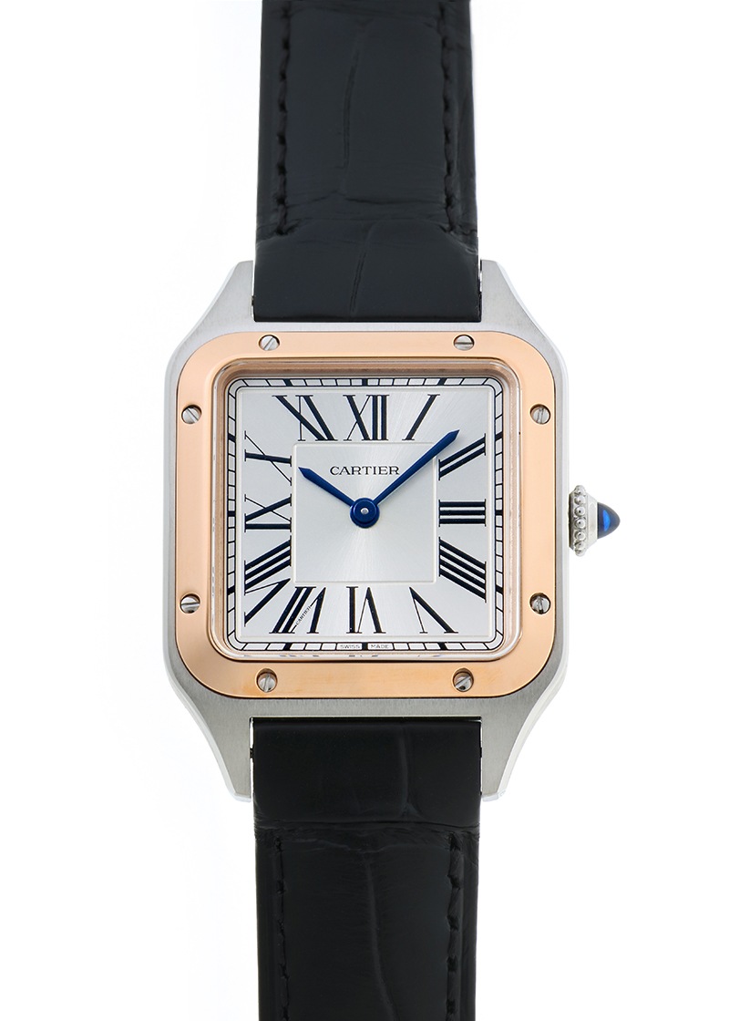 �T���g�X �f������ SM W2SA0038