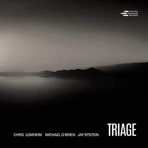 Triage (Chis Lomheim Trio)