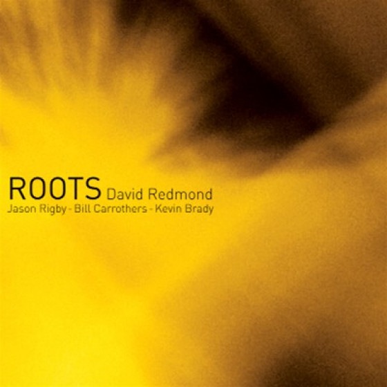 Roots (David Redmond feat. Bill Carrothers)|jazz|ジャンル別