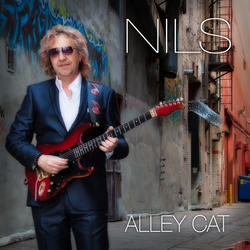 Alley Cat (Nils)