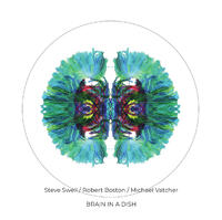Brain In A Dish (Steve Swell Trio)