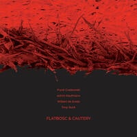 Flatbosc & Cautery (Frank Gratkowski)