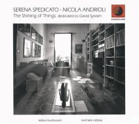 The Shining Of Things (Dedicated To David Sylvian) (Serena Spedicato - Nicola Andrioli )