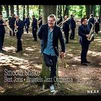 Smooth Shake (Brussels Jazz Orchestra)