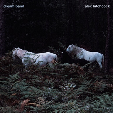 Dream Band (Alex Hitchcock)