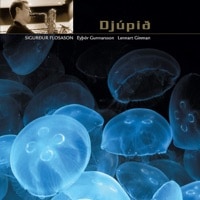 Djupid (The Abyss) (Sigurður Flosason)