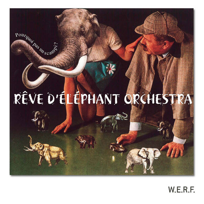 Pourqoui Pas Un Scampi ? (Reve D'Elephant Orchestra)