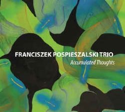 Accumulated Thoughts (Franciszek Pospieszalski Trio)