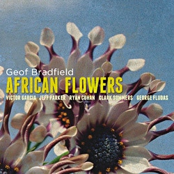 African Flowers (Geof Bradfield)|jazz|ジャンル別