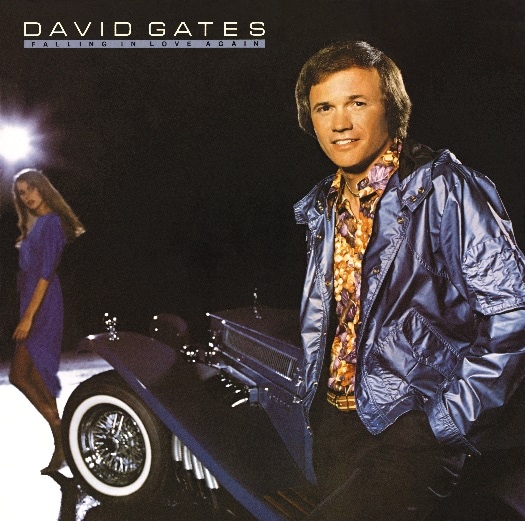 Falling In Love Again (David Gates)