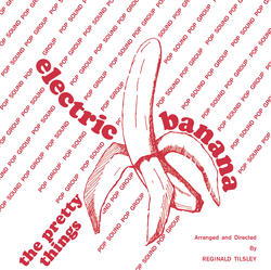 Electric Banana 1967-1969 (45rpm) (Pretty Things)|その他|ジャンル別