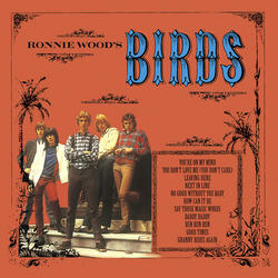 Ronnie Wood's Birds (45rpm) (The Birds)