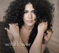 Wildflower (Joanna Pascale)|jazz|ジャンル別