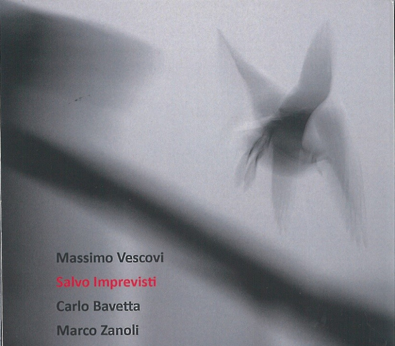Salvo Imprevisti (Massimo Vescovi Trio)|jazz|ジャンル別