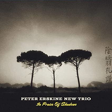 In Praise Of Shadows (Peter Erskine New Trio)