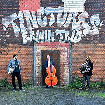 Tinctures (Erwin Trio)|jazz|ジャンル別