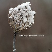 The Northern Experience (Rastko Obradovic Quartet)