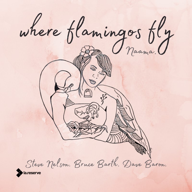 Where Flamingos Fly (Naama Gheber)