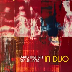 In Duo (1LP) (Dave Liebman & Jeff Williams)
