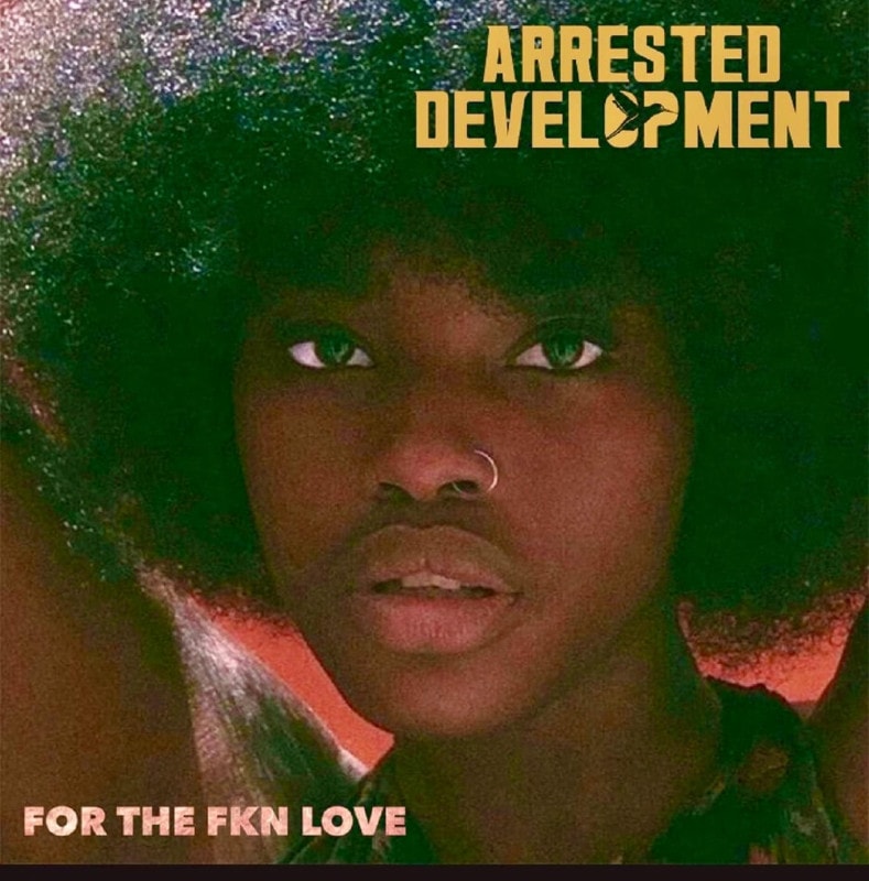 For The Fkn Love (1LP) (Arrested Development)
