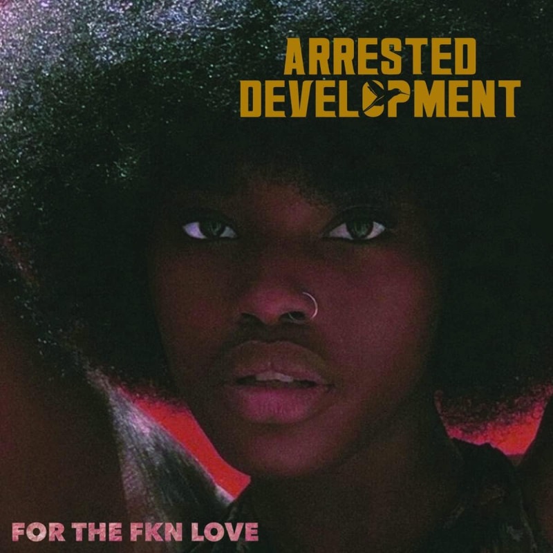 For The Fkn Love (Arrested Development)