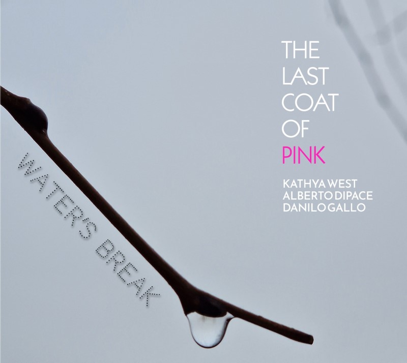 The Last Coat Of Pink-Water'S Break (Kathya West)