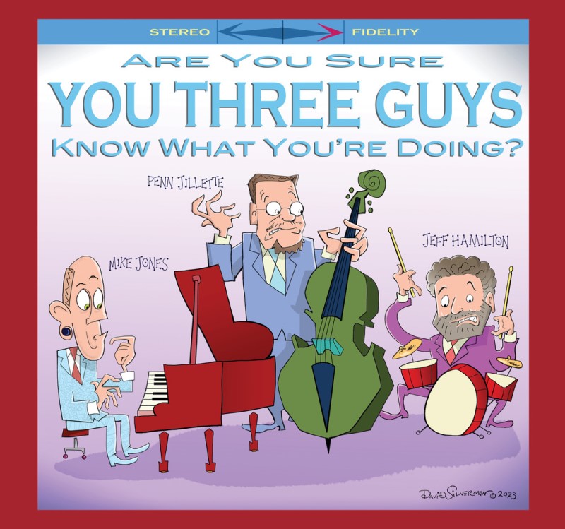 Are You Sure You Three Guys Know What You're Doing ? (1LP) (Mike Jones Trio)