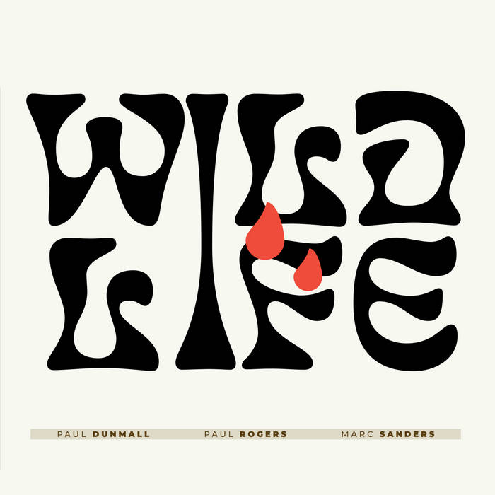 Wildlife W/Paul Rogers - Mark Sanders (Paul Dunmall)|jazz|ジャンル別