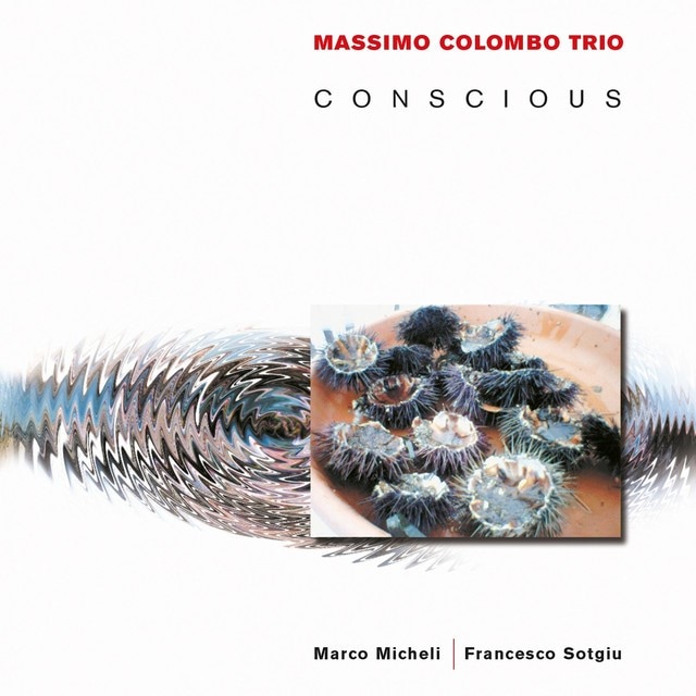 Conscious (Massimo Colombo Trio)