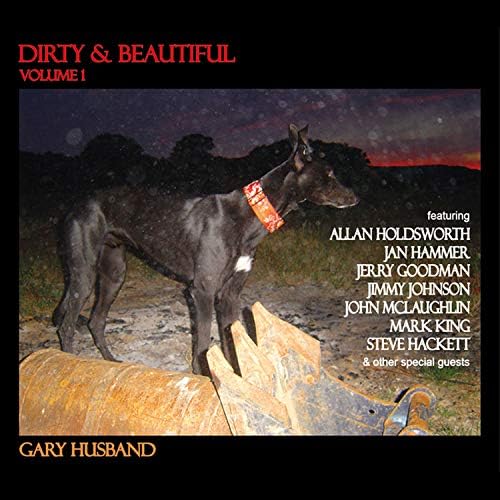 Dirty And Beautiful (Gary Husband)