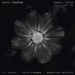 Purple-Black Vol. 2 (David Preston)