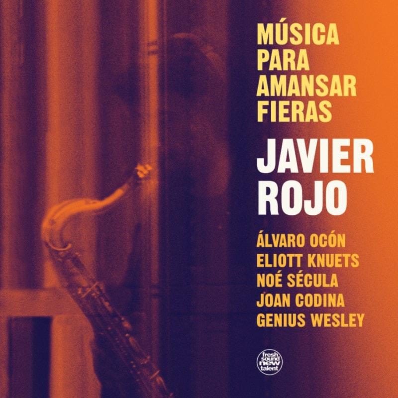 Musica Para Amansar Fieras (Javier Rojo)
