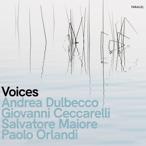 Voices (Giovanni Ceccarelli, Salvatore Maiore, Andrea Dulbecco, Paolo Orlandi)